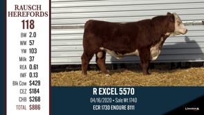 Lot #118 - R EXCEL 5570