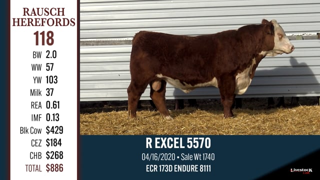 Lot #118 - R EXCEL 5570