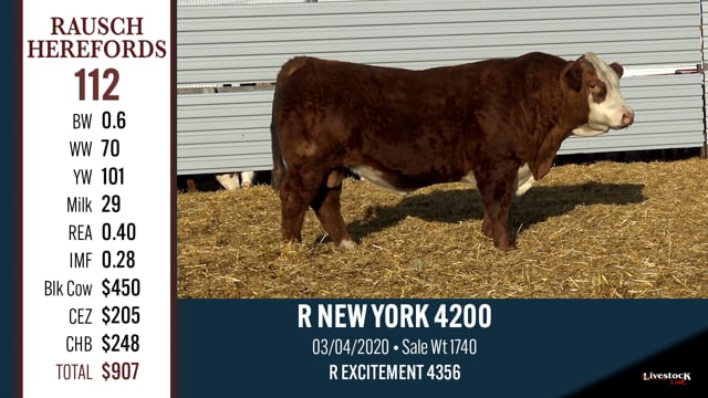 Lot #112 - R NEW YORK 4200