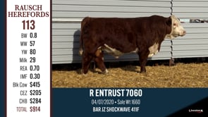 Lot #113 - R ENTRUST 7060