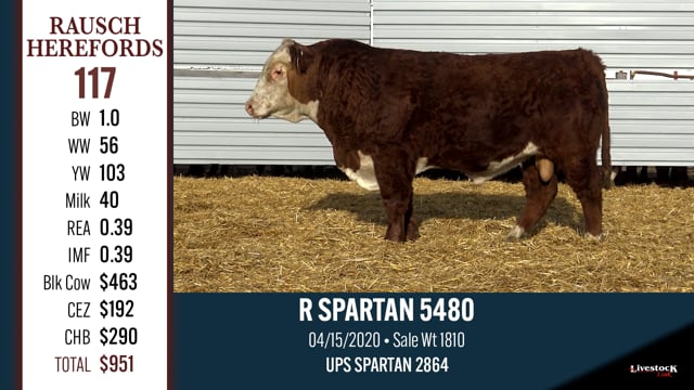 Lot #117 - R SPARTAN 5480
