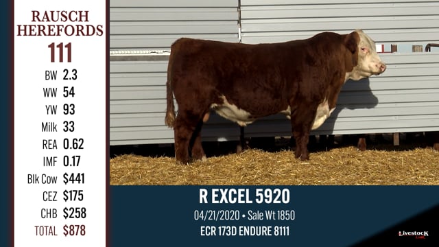 Lot #111 - R EXCEL 5920