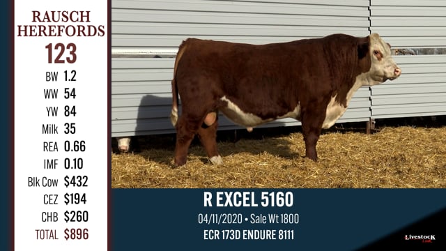 Lot #123 - R EXCEL 5160
