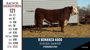 Lot #121 - R BONANZA 4600