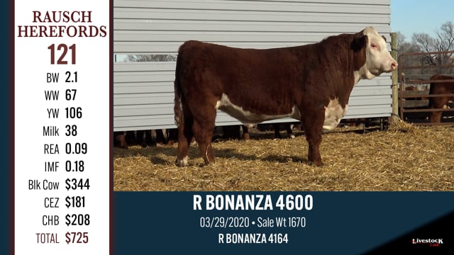 Lot #121 - R BONANZA 4600