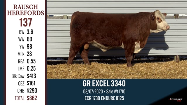 Lot #137 - GR EXCEL 3340