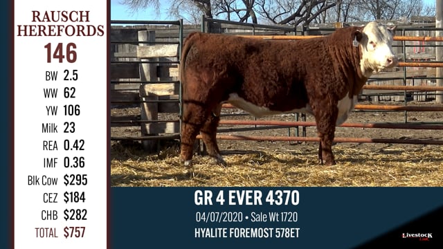 Lot #146 - GR 4EVER 4370