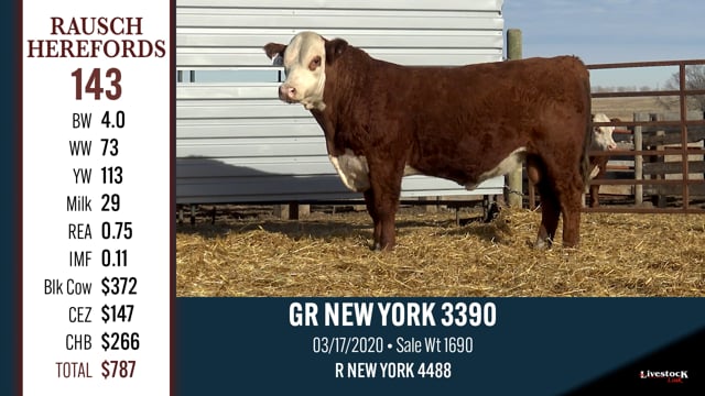 Lot #143 - GR NEW YORK 3390