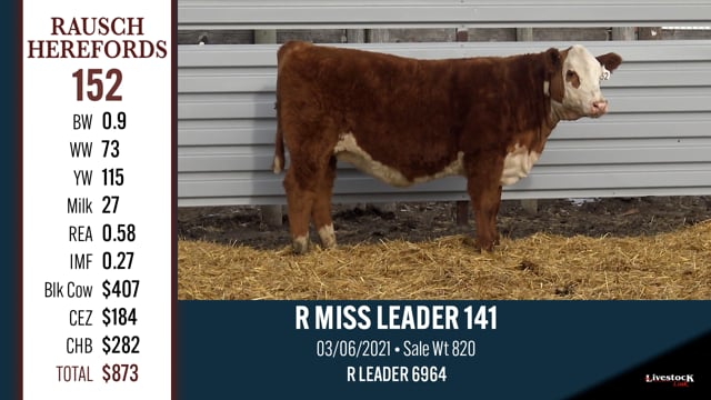 Lot #152 - R MISS LEADER 141