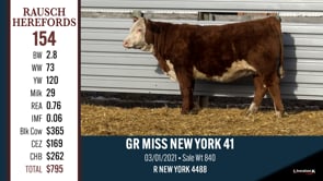 Lot #154 - GR MISS NEW YORK 41