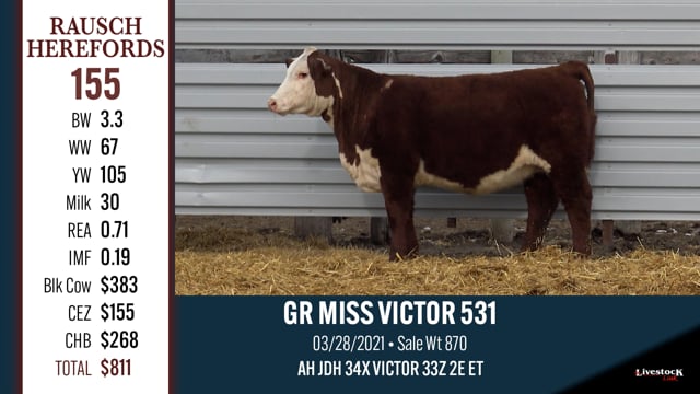Lot #155 - GR MISS VICTOR 531