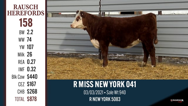 Lot #158 - R MISS NEW YORK 041