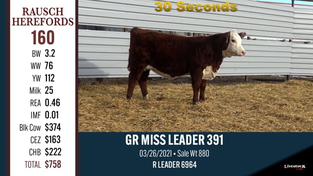 Lot #160 - GR MISS LEADER 391