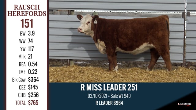 Lot #151 - R MISS LEADER 251