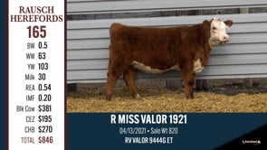 Lot #165 - R MISS VALOR 1921