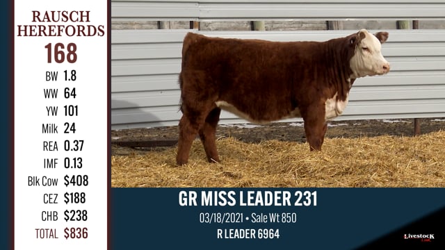 Lot #168 - GR MISS LEADER 231
