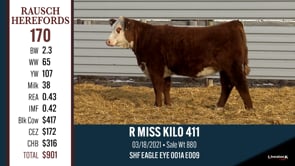 Lot #170 - R MISS KILO 411
