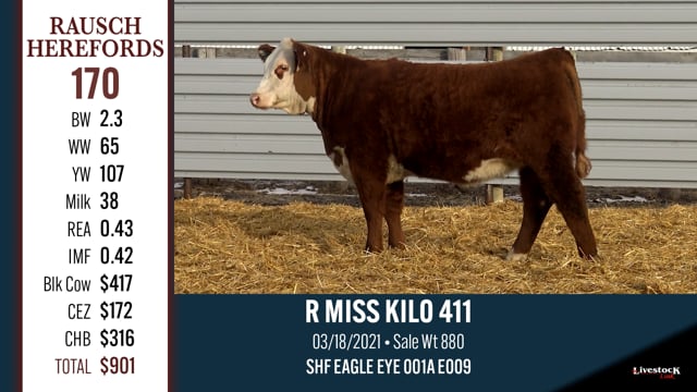 Lot #170 - R MISS KILO 411