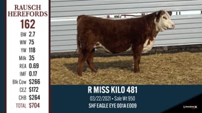 Lot #162 - R MISS KILO 481