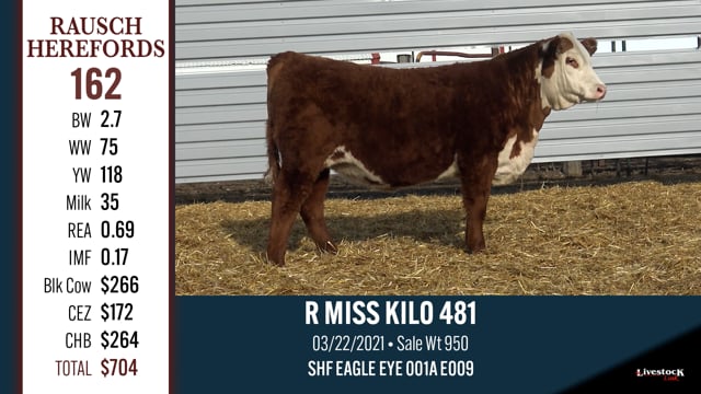 Lot #162 - R MISS KILO 481