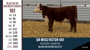 Lot #161 - GR MISS VICTOR 461
