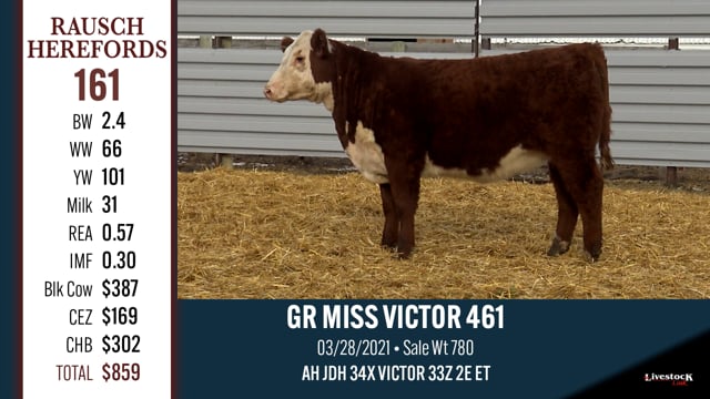Lot #161 - GR MISS VICTOR 461