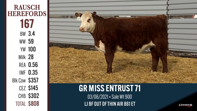Lot #167 - GR MISS ENTRUST 71
