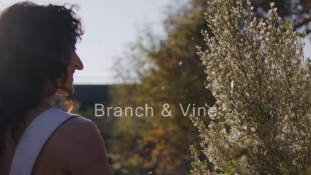Open video