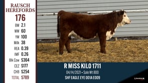 Lot #176 - R MISS KILO 1711