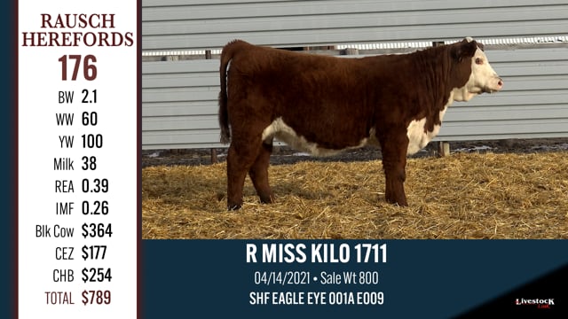 Lot #176 - R MISS KILO 1711