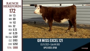 Lot #172 - GR MISS EXCEL 121