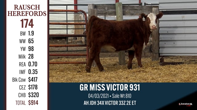 Lot #174 - GR MISS VICTOR 931