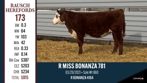 Lot #173 - R MISS BONANZA 781