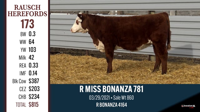 Lot #173 - R MISS BONANZA 781