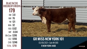 Lot #179 - GR MISS NEW YORK 101