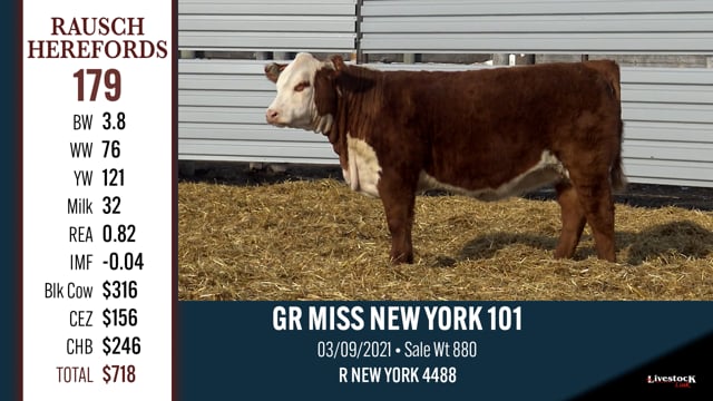 Lot #179 - GR MISS NEW YORK 101