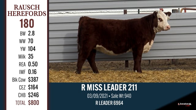 Lot #180 - R MISS LEADER 211