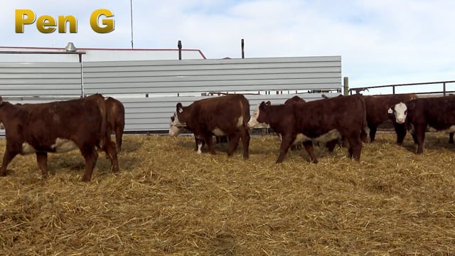 Lot #193 - PEN G