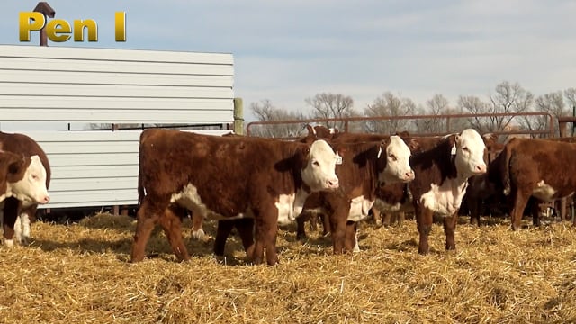 Lot #372 - PEN I