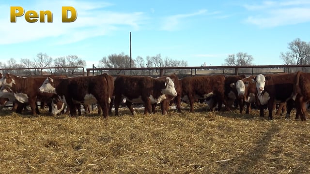 Lot #190 - PEN D