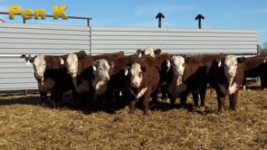 Lot #273 - PEN K