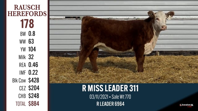 Lot #178 - R MISS LEADER 311