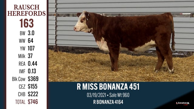 Lot #163 - R MISS BONANZA 451