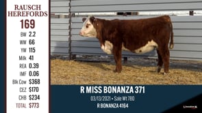 Lot #169 - R MISS BONANZA 371