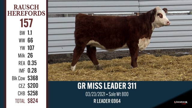 Lot #157 - GR MISS LEADER 311
