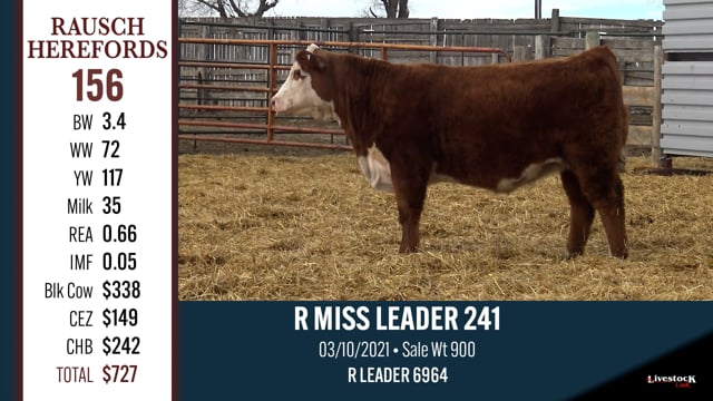 Lot #156 - R MISS LEADER 241