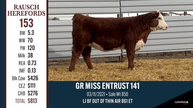 Lot #153 - GR MISS ENTRUST 141