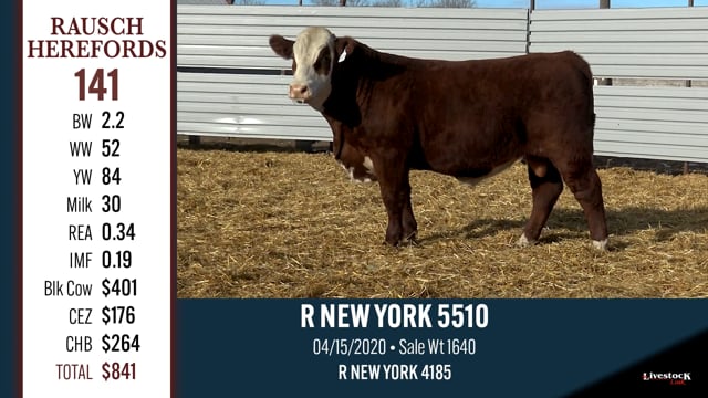 Lot #141 - R NEW YORK 5510
