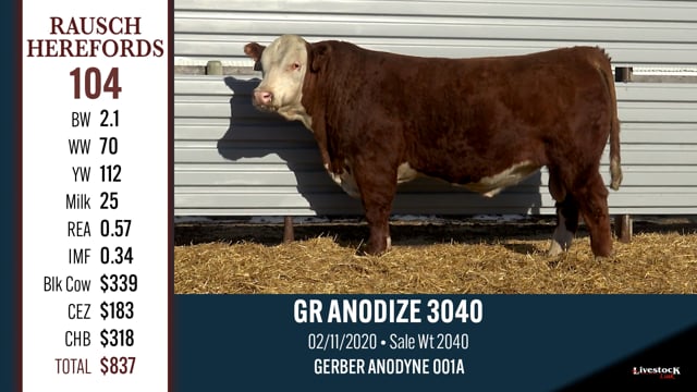 Lot #104 - GR ANODIZE 3040