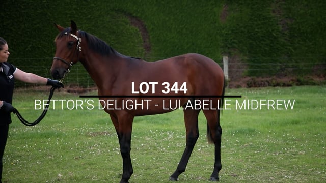 Lot 344